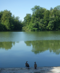 Schloss Monrepos II